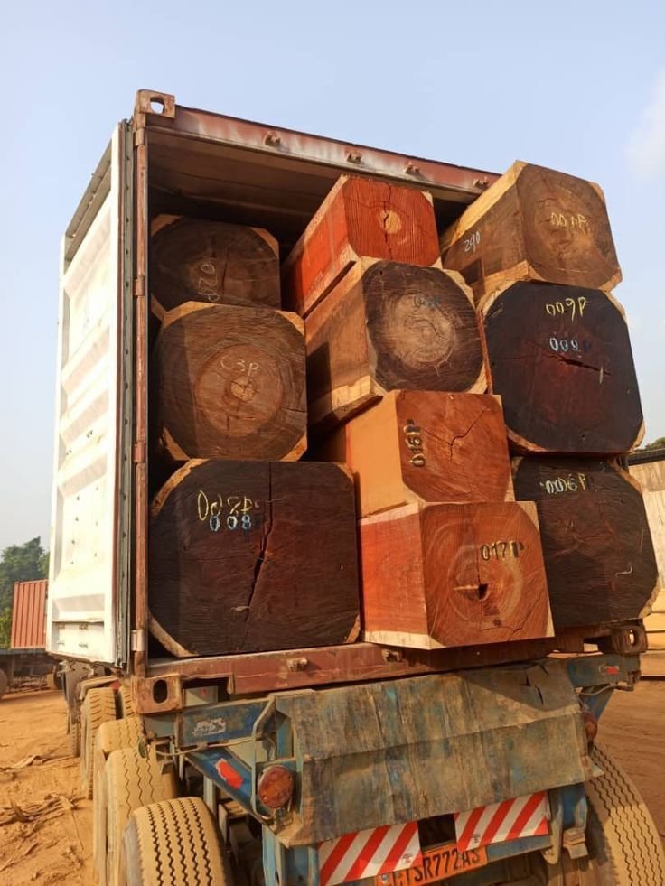 Premium Teak Wood Logs