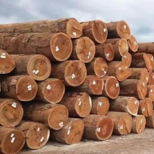 Teak Wood Round Logs