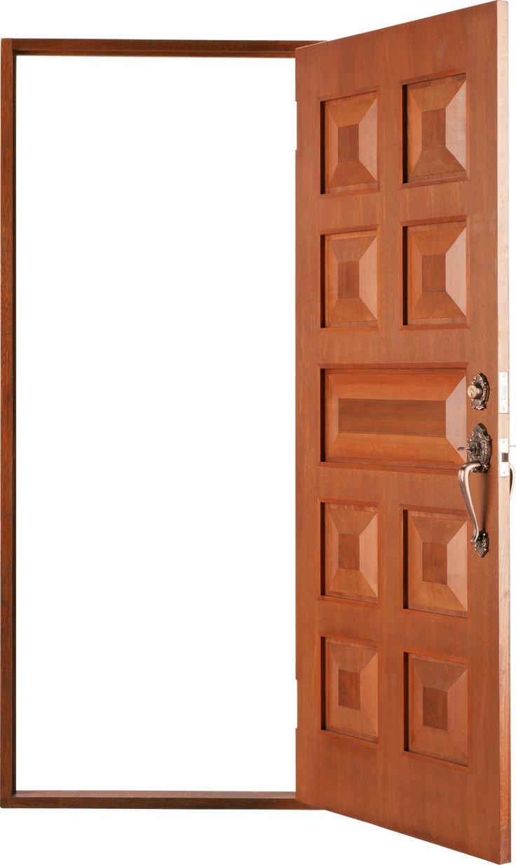 Flush Door