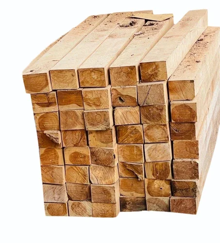 Burma Teak Round Logs