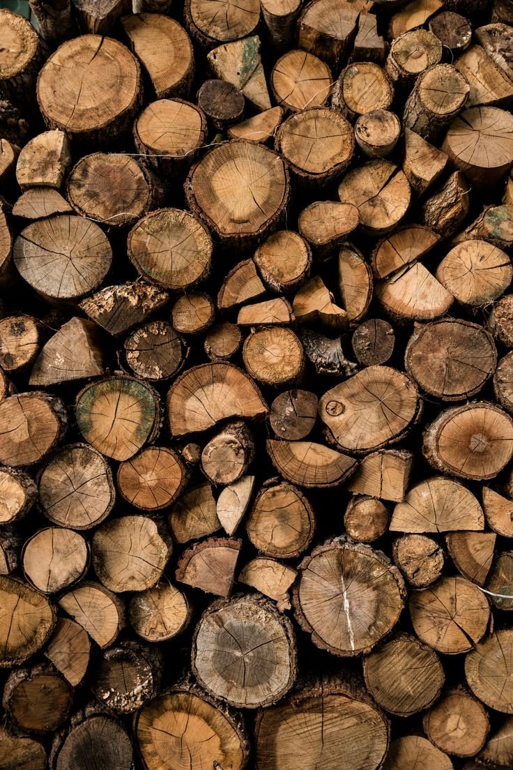 Brazil Teak Wood