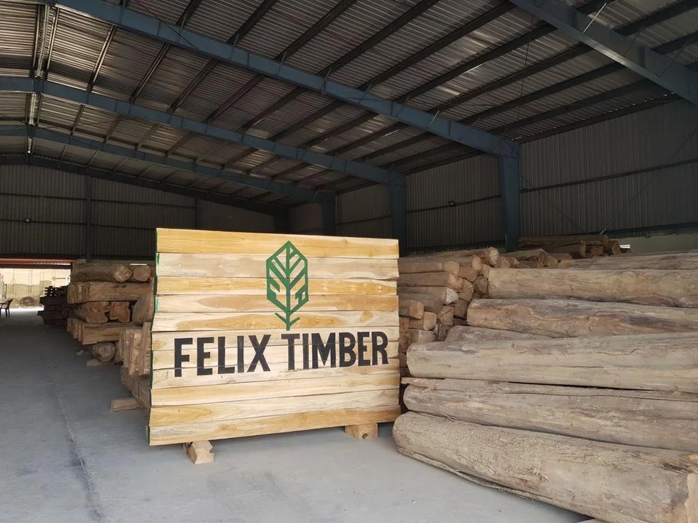 Felix Long Length Teak Logs